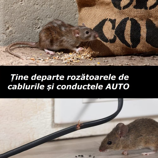 aparat antirozatoare auto