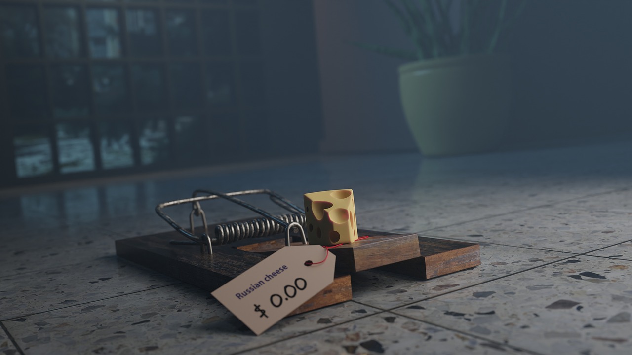 Cea Mai Bună Metodă Să Scapi de Șoareci